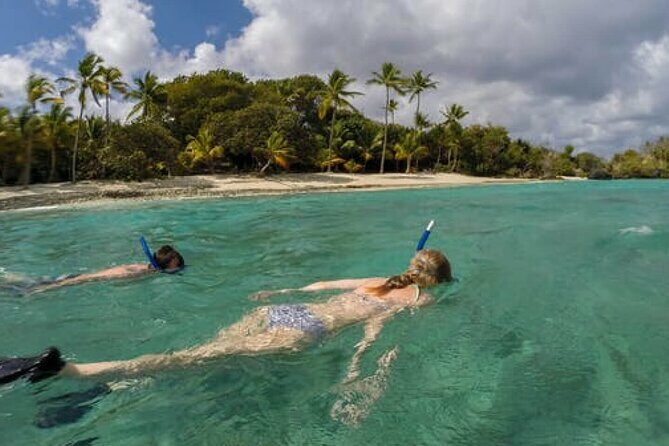 Admission Ticket to Coral World & Coki Point Beach with Snorkeling - What the Tour Includes and How It’s Structured
