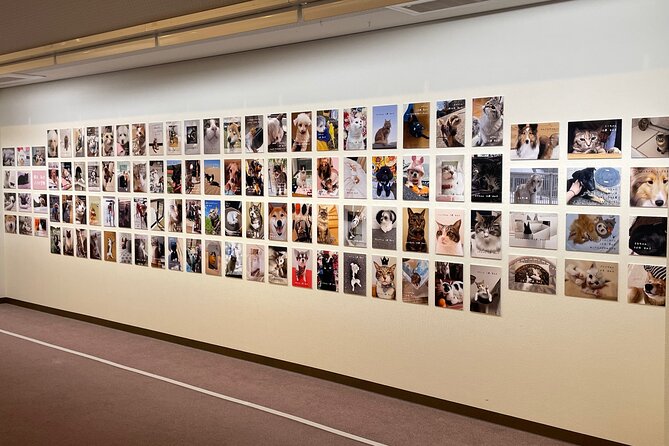 Admission Ticket to Imai Museum, Mizuhiki Exhibition & Cat Dog Photo Exhibition - Getting to the Imai Museum