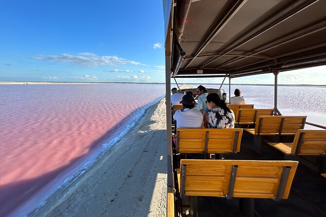 Admission Ticket to Safari in the Pink Lagoons of Las Coloradas - Accessibility and Participation