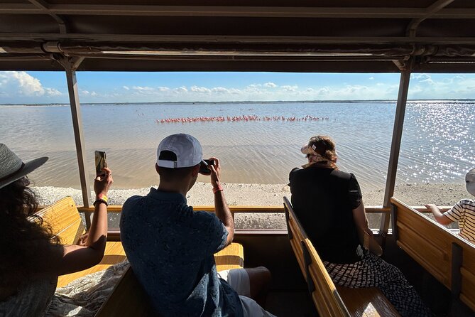 Admission Ticket to Safari in the Pink Lagoons of Las Coloradas - Booking Information