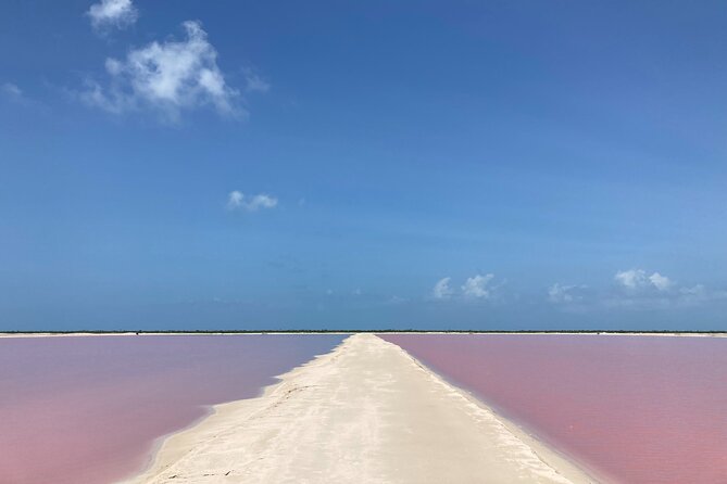 Admission Ticket to Safari in the Pink Lagoons of Las Coloradas - Tour Experience Highlights