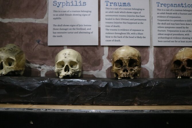 Admission Ticket to Sick To Death in Chester - What to Expect at the Exhibition