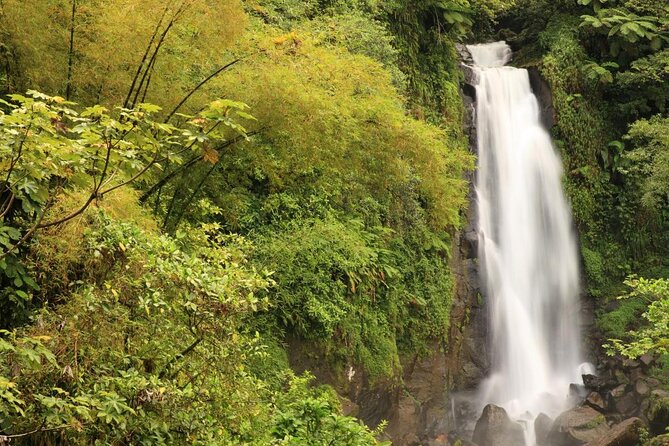 Admission Ticket to Trafalgar Falls (Premium Site) - About Your Stay