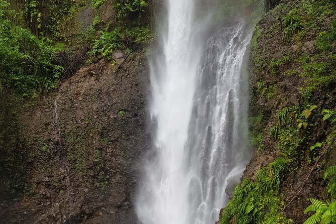 Admission Ticket to Trafalgar Falls (Premium Site) - Accessibility Considerations