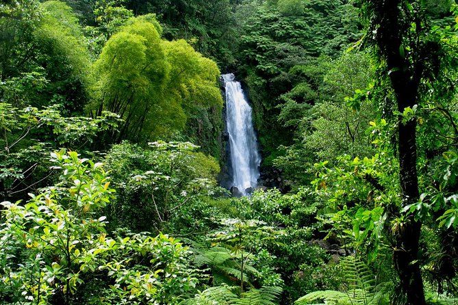 Admission Ticket to Trafalgar Falls (Premium Site) - Cancellation Policy
