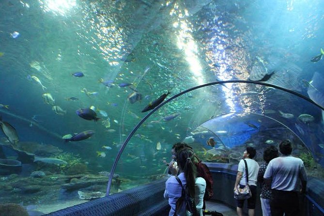 Admission Ticket to Underwater World Pattaya With Return Transfer - Customer Reviews and Ratings