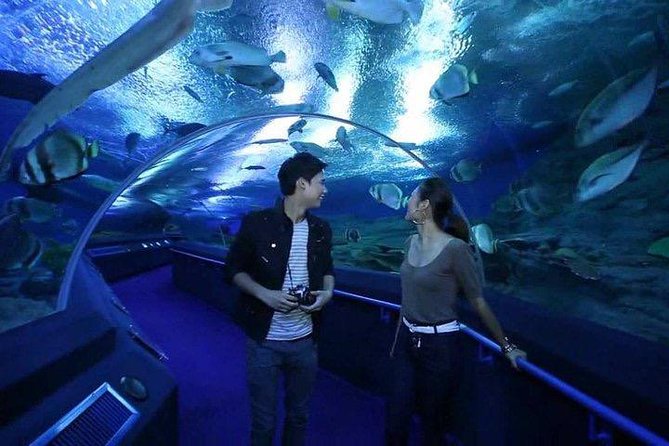 Admission Ticket to Underwater World Pattaya With Return Transfer - Underwater World Pattaya Highlights