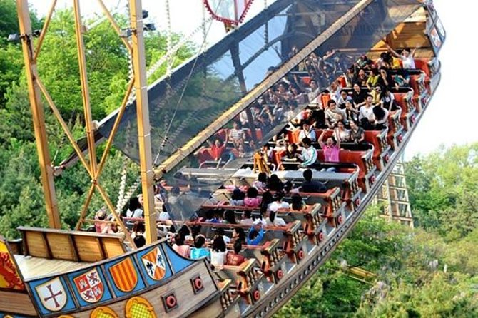 Admission to Everland Theme Park With Transport From Seoul - Visitor Reviews and Feedback