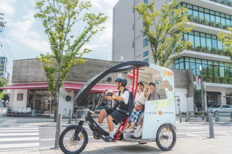 Admission to Korakuen, and a Guided Tour of Okayama City - Booking Information