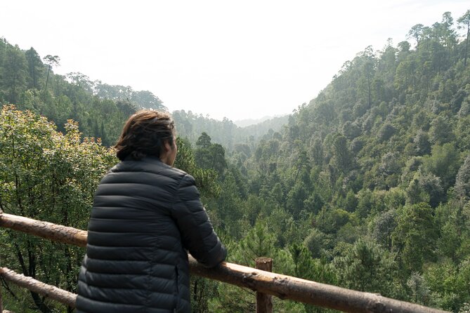 Admission to the Alpinia Nature and Adventure Park - Meeting and Pickup Information