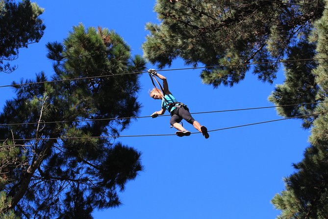 Adrenalin Forest Auckland - Key Points