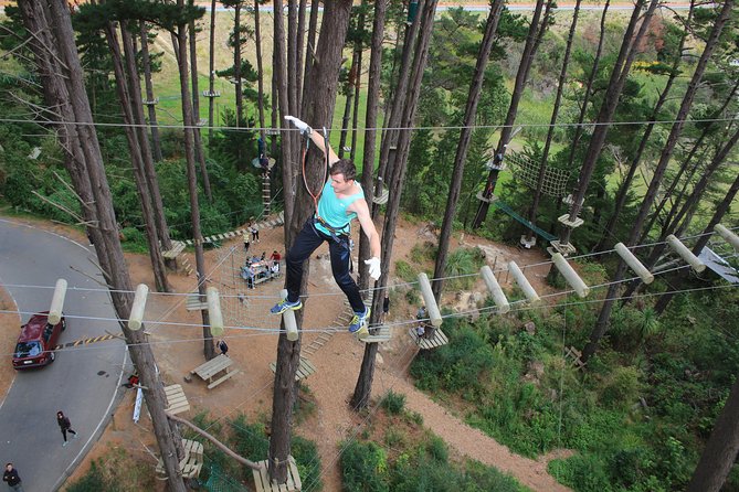 Adrenalin Forest Auckland - Health and Safety