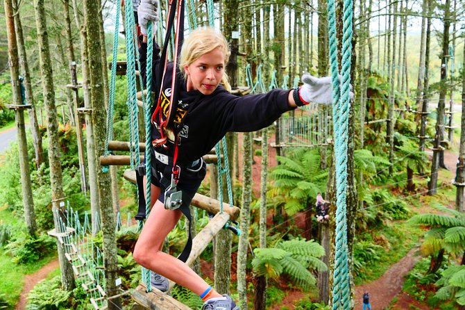 Adrenalin Forest Obstacle Course in Christchurch - Reviews and Feedback