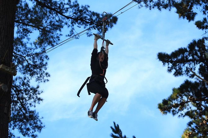 Adrenalin Forest Obstacle Course in the Bay of Plenty - Booking and Reservation Process