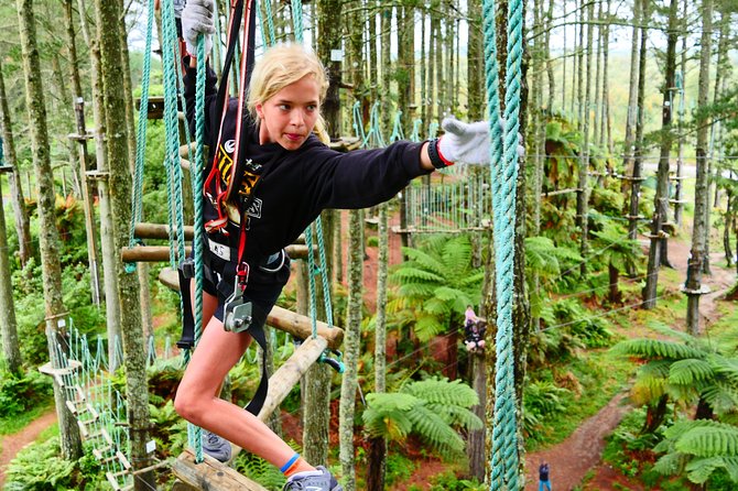 Adrenalin Forest Obstacle Course in the Bay of Plenty - Recommended Physical Fitness Level