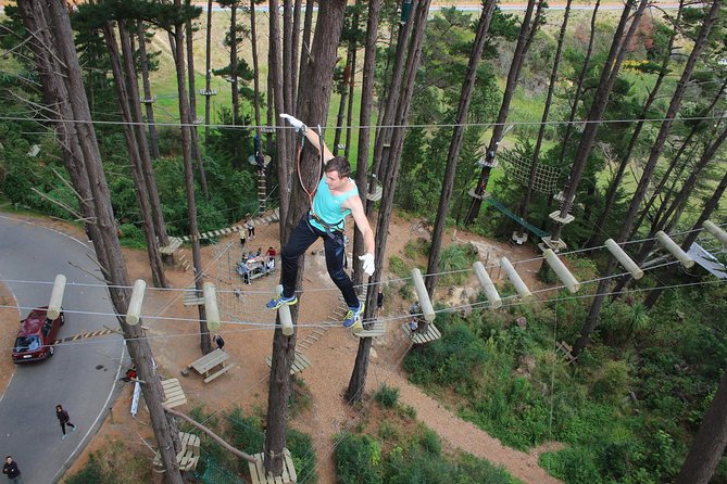 Adrenalin Forest Obstacle Course in the Bay of Plenty - Suitability for Specific Groups