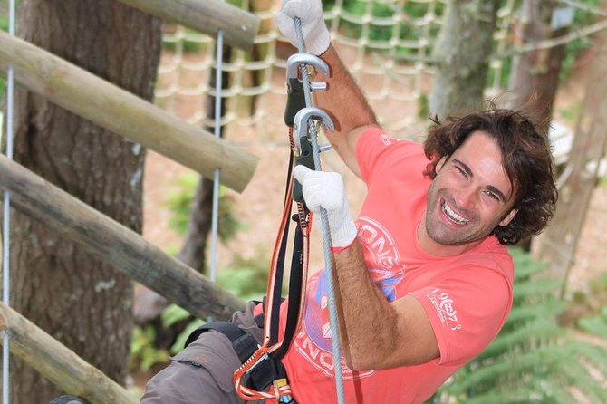 Adrenalin Forest Obstacle Course in Wellington - Customer Reviews and Highlights
