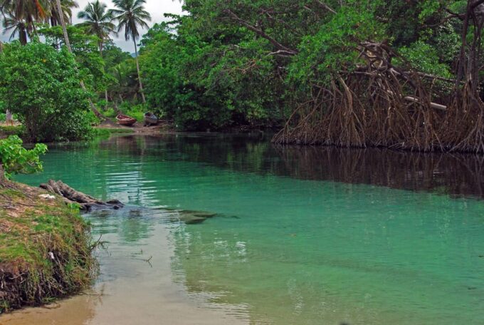 Adrenaline Adventures on ATV and Playa Rincón From Samaná - Immersion in Local Flavors and Traditions
