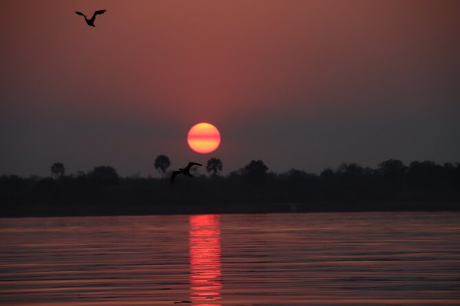 Adrenaline Jet Boat Safari in Victoria Falls - Wildlife Sightings