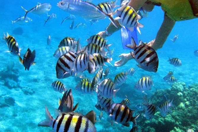 ADRENALINE Package: ATV Offroad Experience & Catamaran Cruise With Snorkeling - Booking and Cancellation Policies