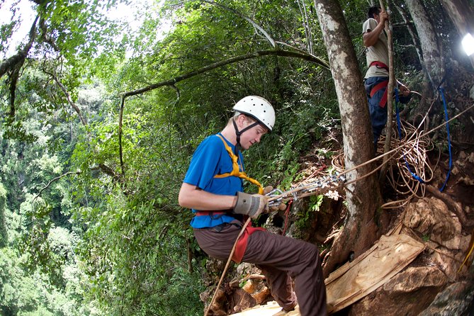Adrenaline Pumping Black Hole Drop: Rappelling at Ian Andersons Caves Branch - What to Expect