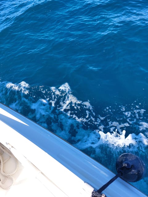 Adrenaline Thrills: Half-Day Speedboat Trip From Zadar - Good To Know