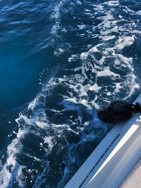 Adrenaline Thrills: Half-Day Speedboat Trip From Zadar - Discovering Preko Village