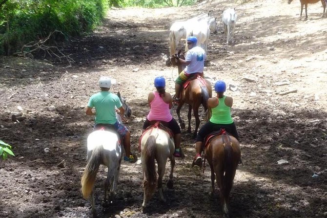 Adrenaline, Tubbing, Zip Line, Rappelling, Hot Springs Tour - Activities Included