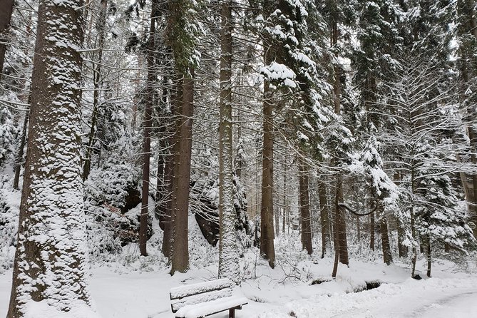 Adrspach Teplice Rocks Filming Site of The Chronicles of Narnia - Transportation and Comfort of the Tour