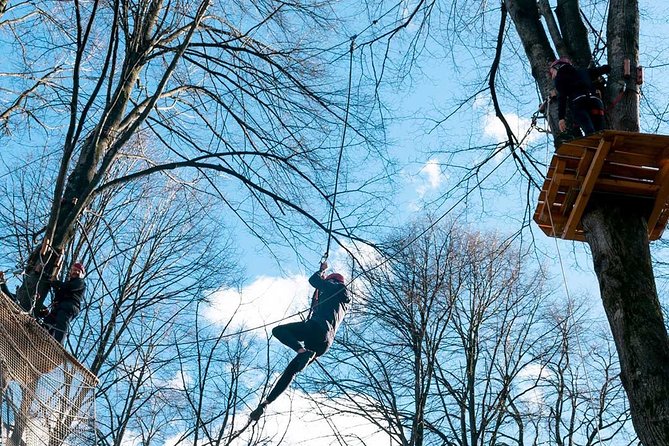 Adult Daily Ticket for Adventure Park in Gravedona - Explore the Adventure Park