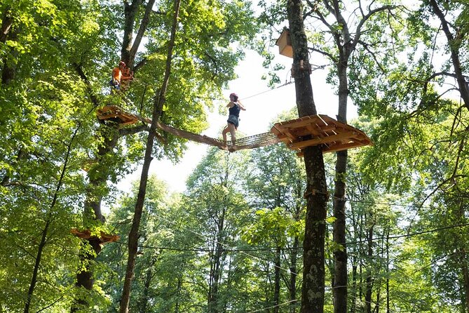 Adult Daily Ticket for Adventure Park in Gravedona - Safety and Guidelines