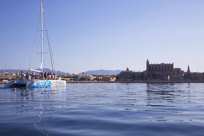 Adult Only Sunset Catamaran Palma Bay - Onboard Inclusions