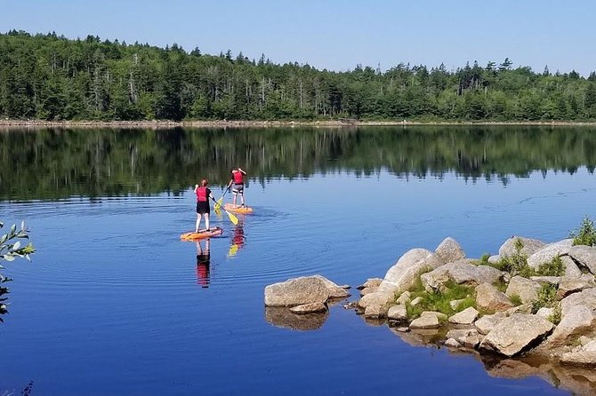 Adult Stand-Up Paddle Board Rental - Activity Specifications