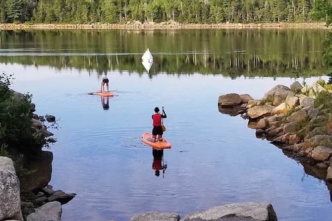 Adult Stand-Up Paddle Board Rental - Accessibility and Safety