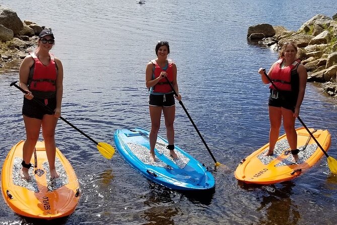 Adult Stand-Up Paddle Board Rental - Halifax Outdoor Adventure