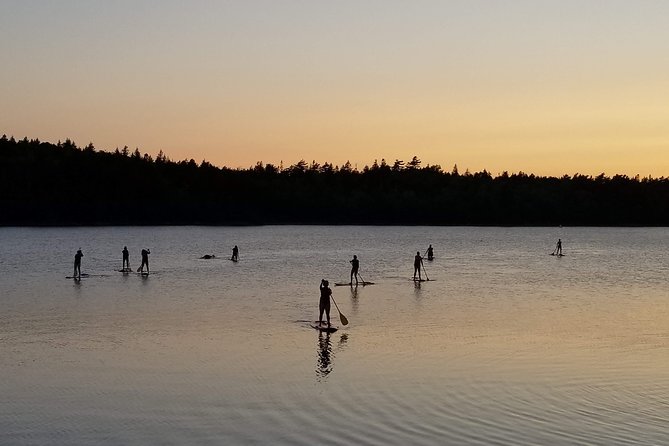 Adult Stand-Up Paddle Board Rental - Frequently Asked Questions
