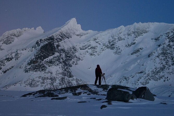 Adults Only Aurora Hunt Tour With Citizen Science in Tromso - Management Response