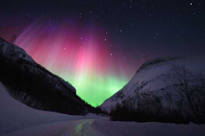 Adults Only Aurora Hunt Tour With Citizen Science in Tromso - Preparing for Your Tour