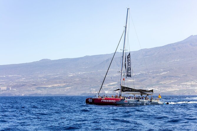 Adults Only Tenerife Freebird Whale Dolphin Catamaran With Lunch - Accessibility and Accommodations
