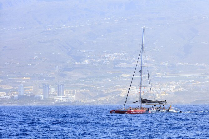 Adults Only Tenerife Freebird Whale Dolphin Catamaran With Lunch - Demand and Popularity