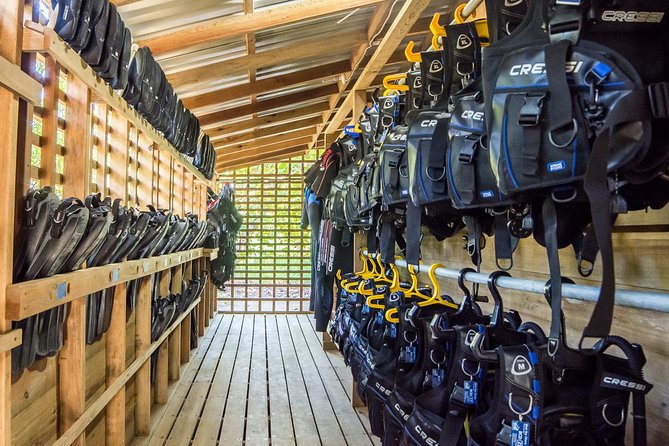 Advanced Open Water Course - Diving Experience