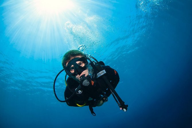Advanced Open Water Course in Pemuteran - Certification in Bali (Menjangan Park) - Instructor Guidance and Digital Souvenirs