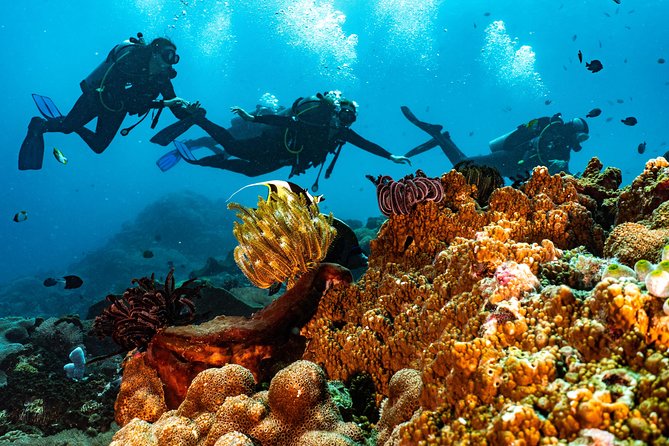 Advanced Open Water Course in Pemuteran - Certification in Bali (Menjangan Park) - Cancellation Policy and Customer Support