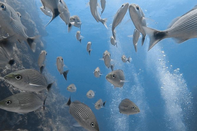 Advanced Open Water Dive Certification in Tamarindo - Health Considerations
