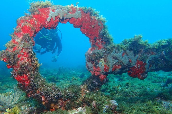 Advanced PADI Diving Course - Meeting and Pickup Details