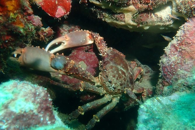 Advanced PADI Diving Course - Diving Locations