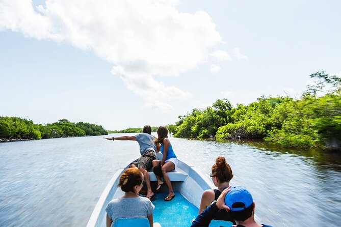 Adventour Day: Coloradas and Rio Lagartos Excursion From Cancun! - Discovering the Rio Lagartos Reserve