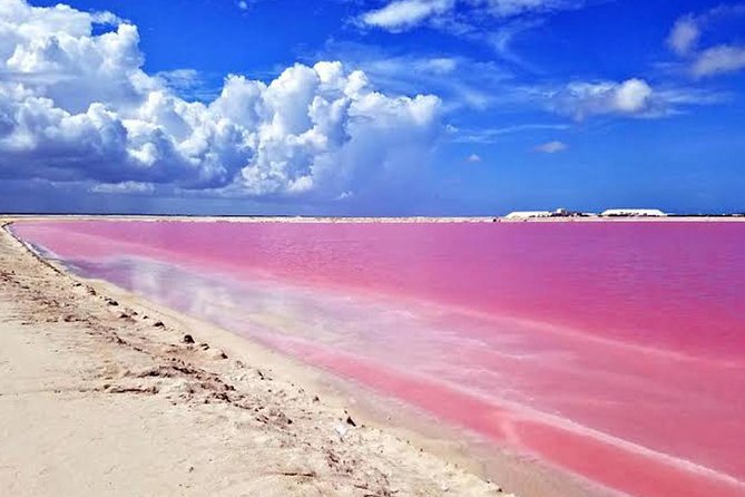 Adventour Day: Coloradas and Rio Lagartos Excursion From Cancun! - Mangrove Forest and Wildlife Encounters