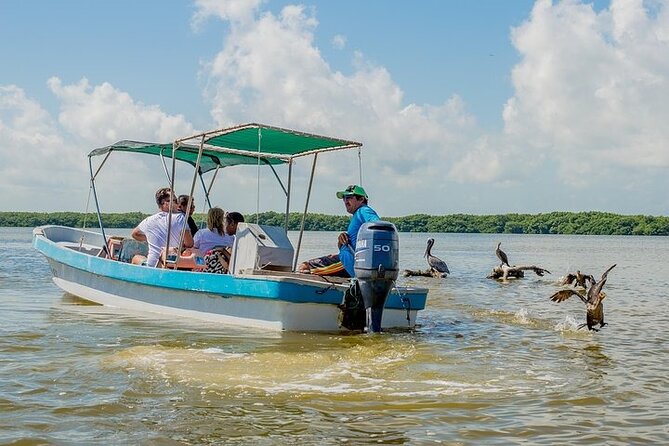 Adventour Day: Coloradas and Rio Lagartos Excursion From Cancun! - Lunch Options and Included Beverages