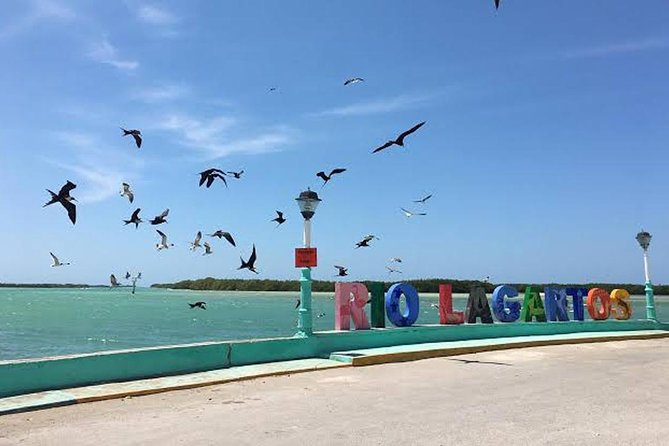 Adventour Day: Coloradas and Rio Lagartos Excursion From Cancun! - Customer Feedback and Tour Operator Response